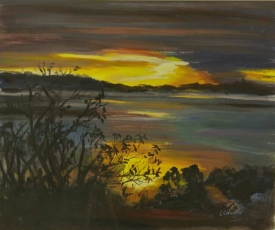 IMGP7485 cropped resized